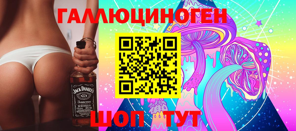 Галлюциногенные грибы Psilocybe  Вход с VPN  Санкт-Петербург 