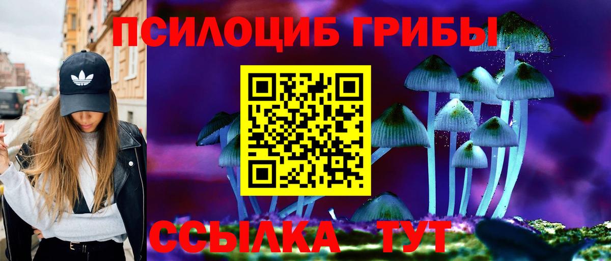 Псилоцибиновые грибы Psilocybine cubensis Санкт-Петербург